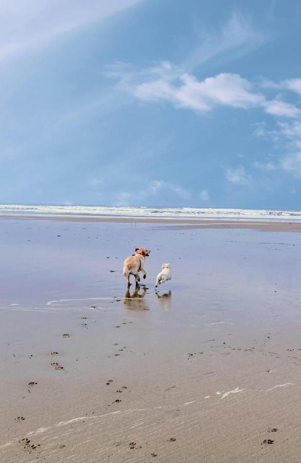 Bude Holiday Home מראה חיצוני תמונה